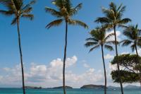 TheGrenadinesCollection