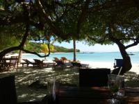 TheGrenadinesCollection