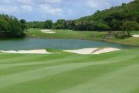 TheGrenadinesCollection