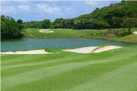 TheGrenadinesCollection