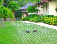 TheGrenadinesCollection