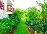 TheGrenadinesCollection