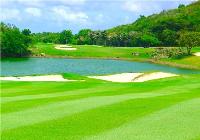 TheGrenadinesCollection