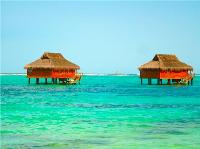 TheGrenadinesCollection