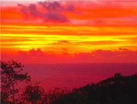 TheGrenadinesCollection