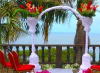 TheGrenadinesCollection