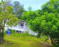 TheGrenadinesCollection