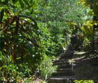 TheGrenadinesCollection