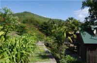 TheGrenadinesCollection