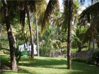 TheGrenadinesCollection