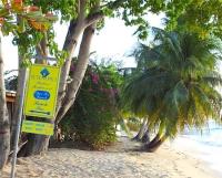 TheGrenadinesCollection