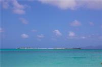 TheGrenadinesCollection