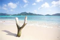 TheGrenadinesCollection