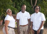 TheGrenadinesCollection