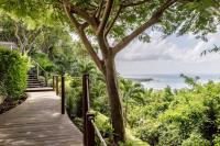 TheGrenadinesCollection