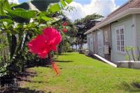 TheGrenadinesCollection