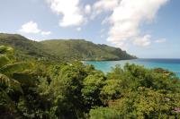 TheGrenadinesCollection