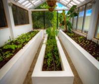 TheGrenadinesCollection