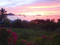 TheGrenadinesCollection