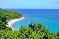 TheGrenadinesCollection