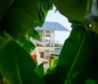 TheGrenadinesCollection