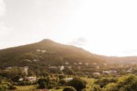 TheGrenadinesCollection