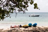 TheGrenadinesCollection