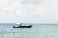 TheGrenadinesCollection