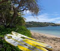 TheGrenadinesCollection