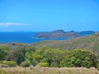 TheGrenadinesCollection