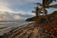 TheGrenadinesCollection