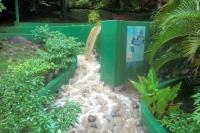 TheGrenadinesCollection