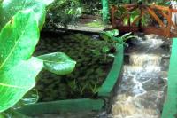 TheGrenadinesCollection