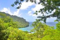 TheGrenadinesCollection