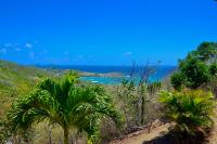 TheGrenadinesCollection