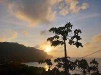 TheGrenadinesCollection