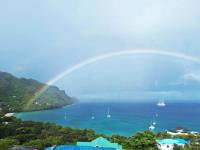 TheGrenadinesCollection