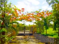 TheGrenadinesCollection