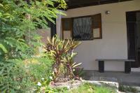 TheGrenadinesCollection