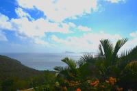 TheGrenadinesCollection