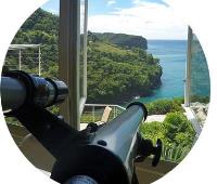 TheGrenadinesCollection