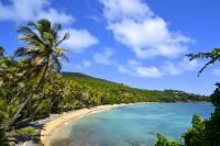 TheGrenadinesCollection