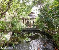 TheGrenadinesCollection