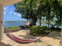 TheGrenadinesCollection