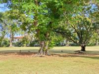 TheGrenadinesCollection