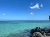 TheGrenadinesCollection