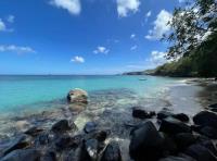 TheGrenadinesCollection