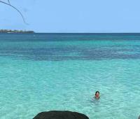 TheGrenadinesCollection