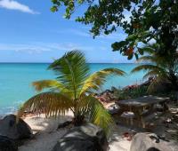 TheGrenadinesCollection