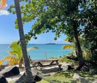 TheGrenadinesCollection